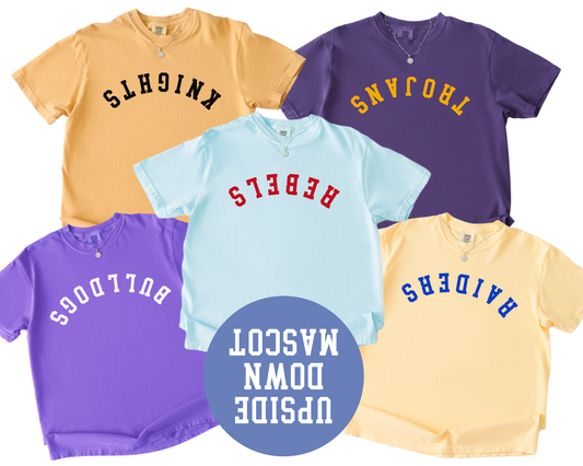 CUSTOM Upside Down Mascot